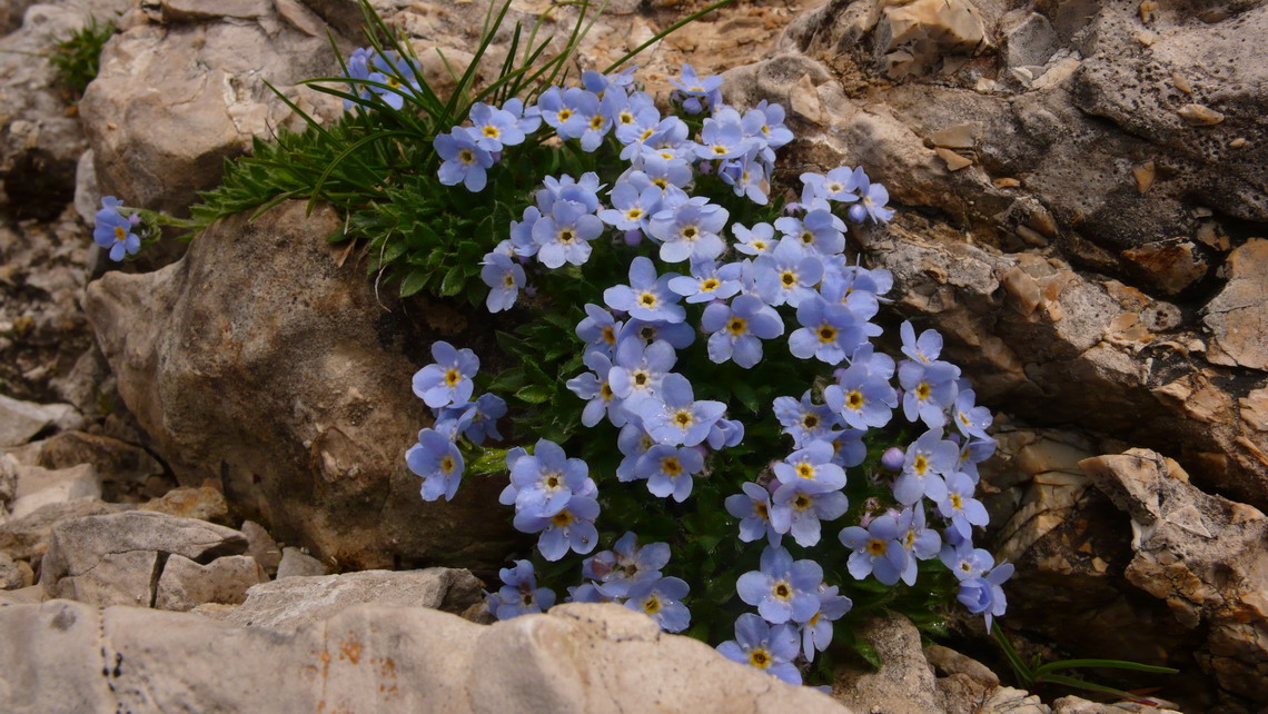 La val de Piero e Schiara nel parco delle dolomiti bellunesi